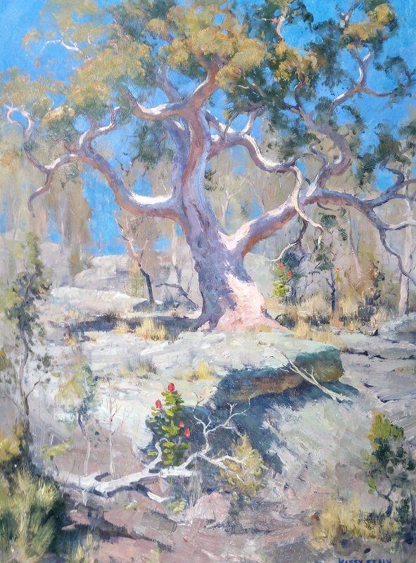 Angophra, Berowra (45x61cm)