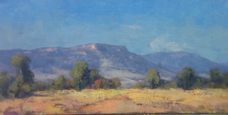 Dry Landscape Blackwater (40x20cm)