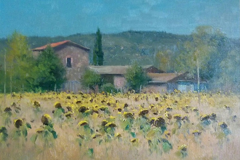 Tuscany Sunflower Farm