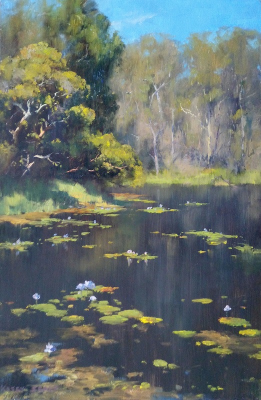 Water Lillies, Gladstone (30x45cm)