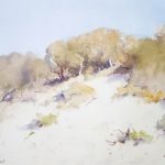 Dune Study Hawsnest (41x30cm) wc