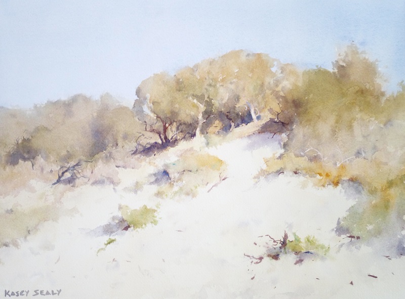 Dune Study Hawsnest (41x30cm) wc