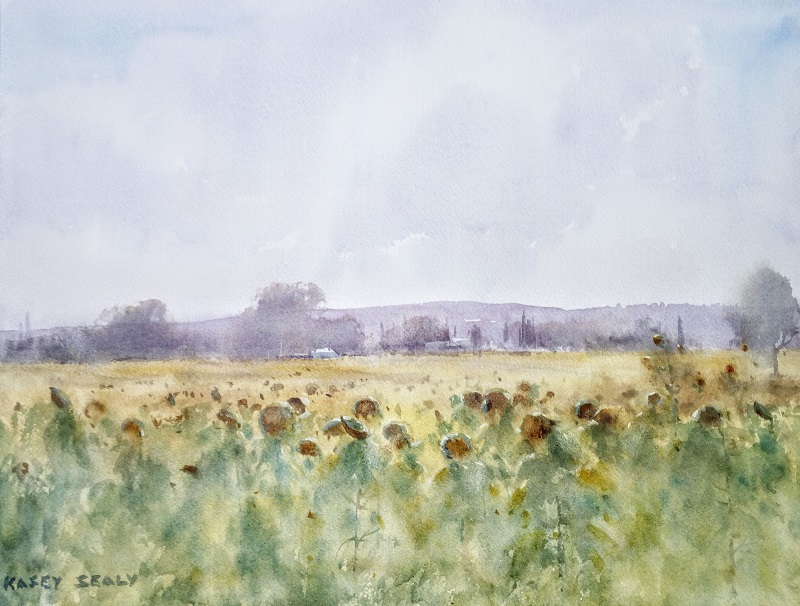 Sunflowers Tuscany (41x30 cm) wc