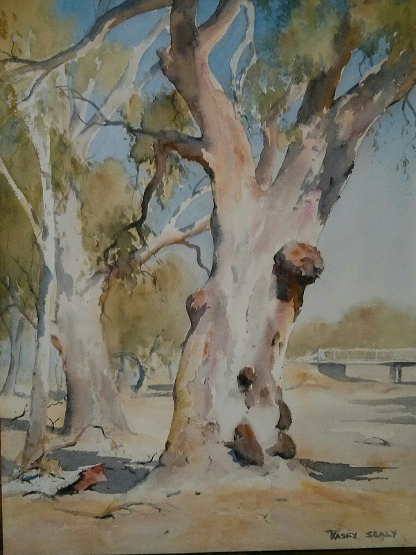 Old Red Gum Forbes (30x40cm) wc